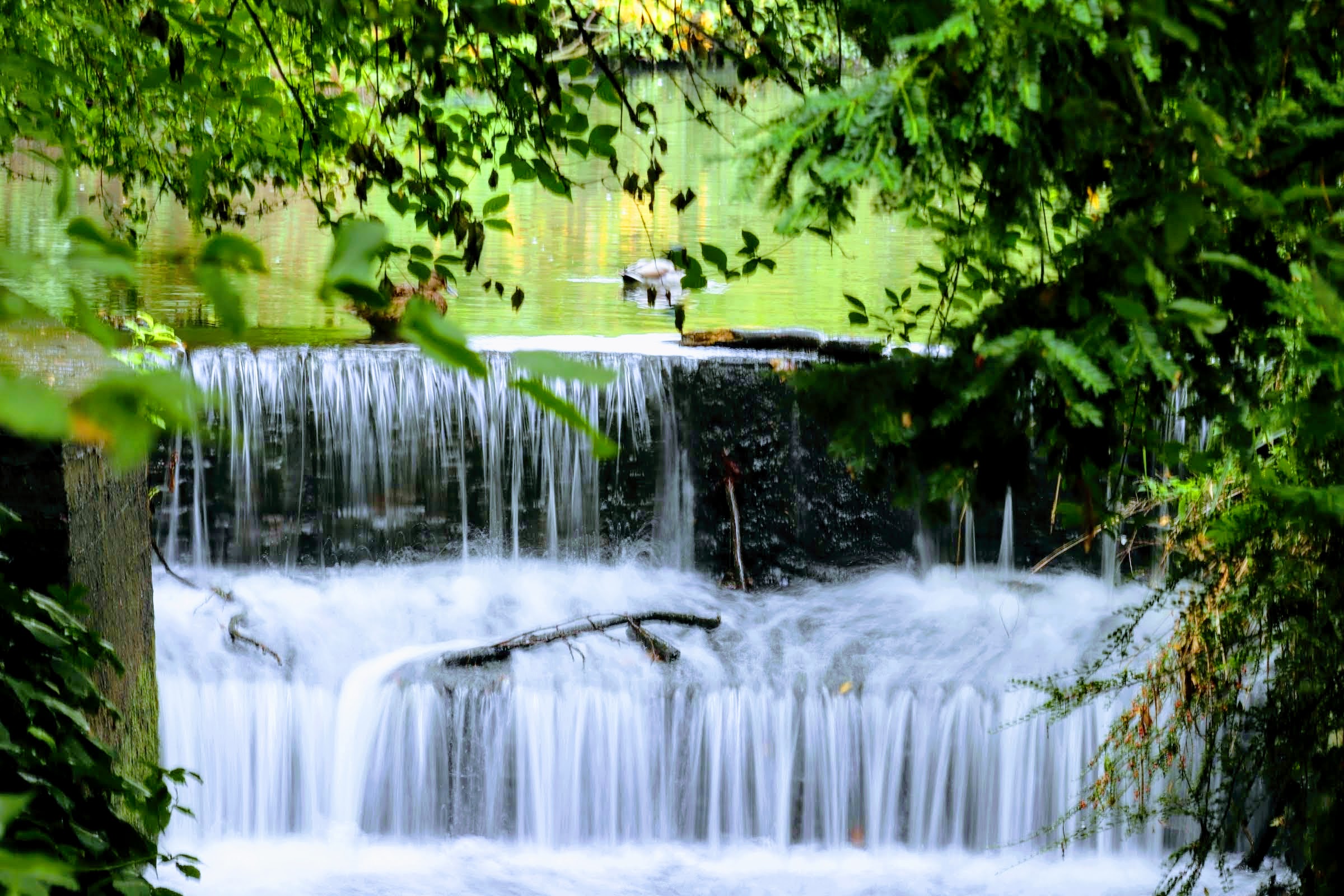 20180912140753_img_2431-effects