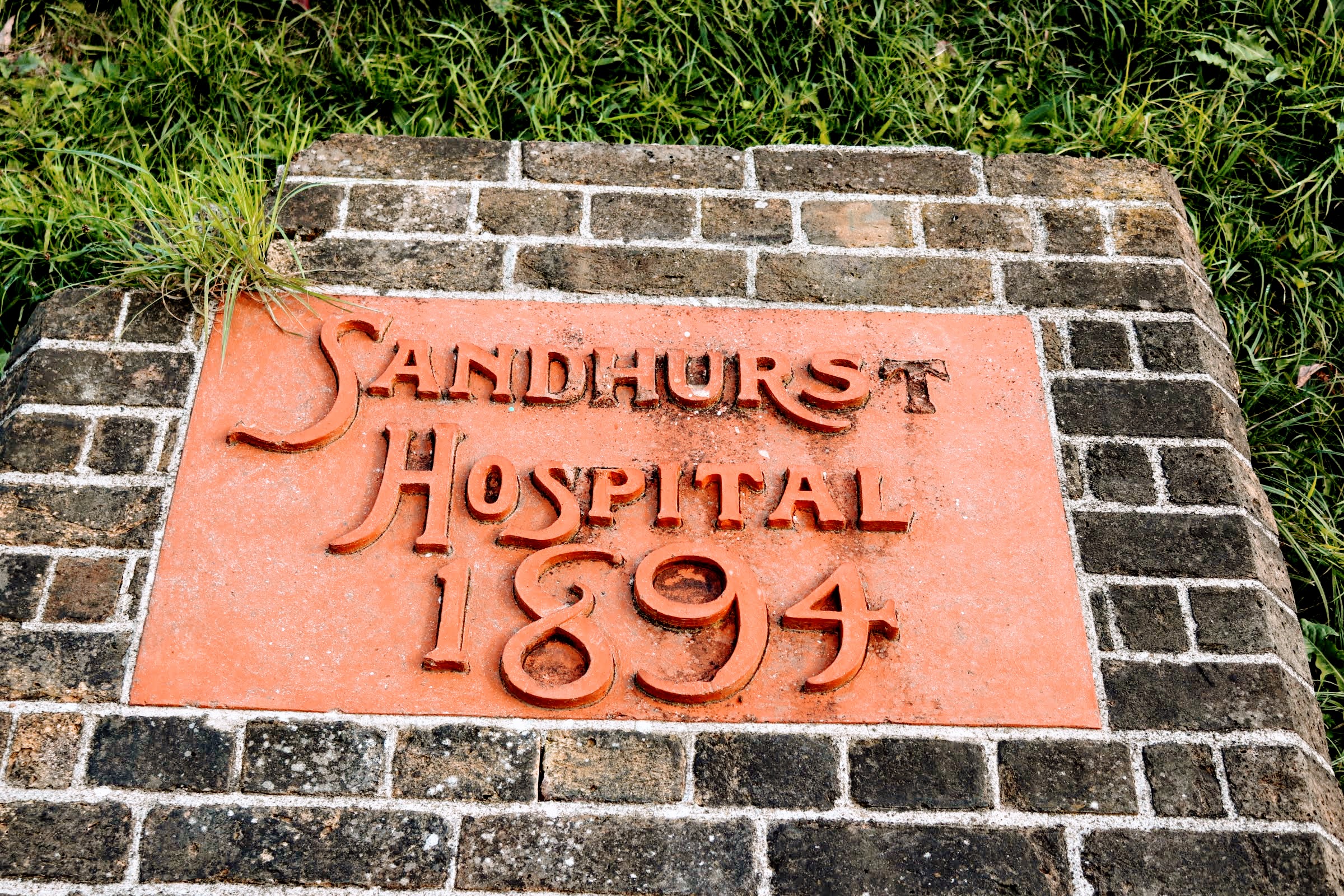 20181018134353_img_3300