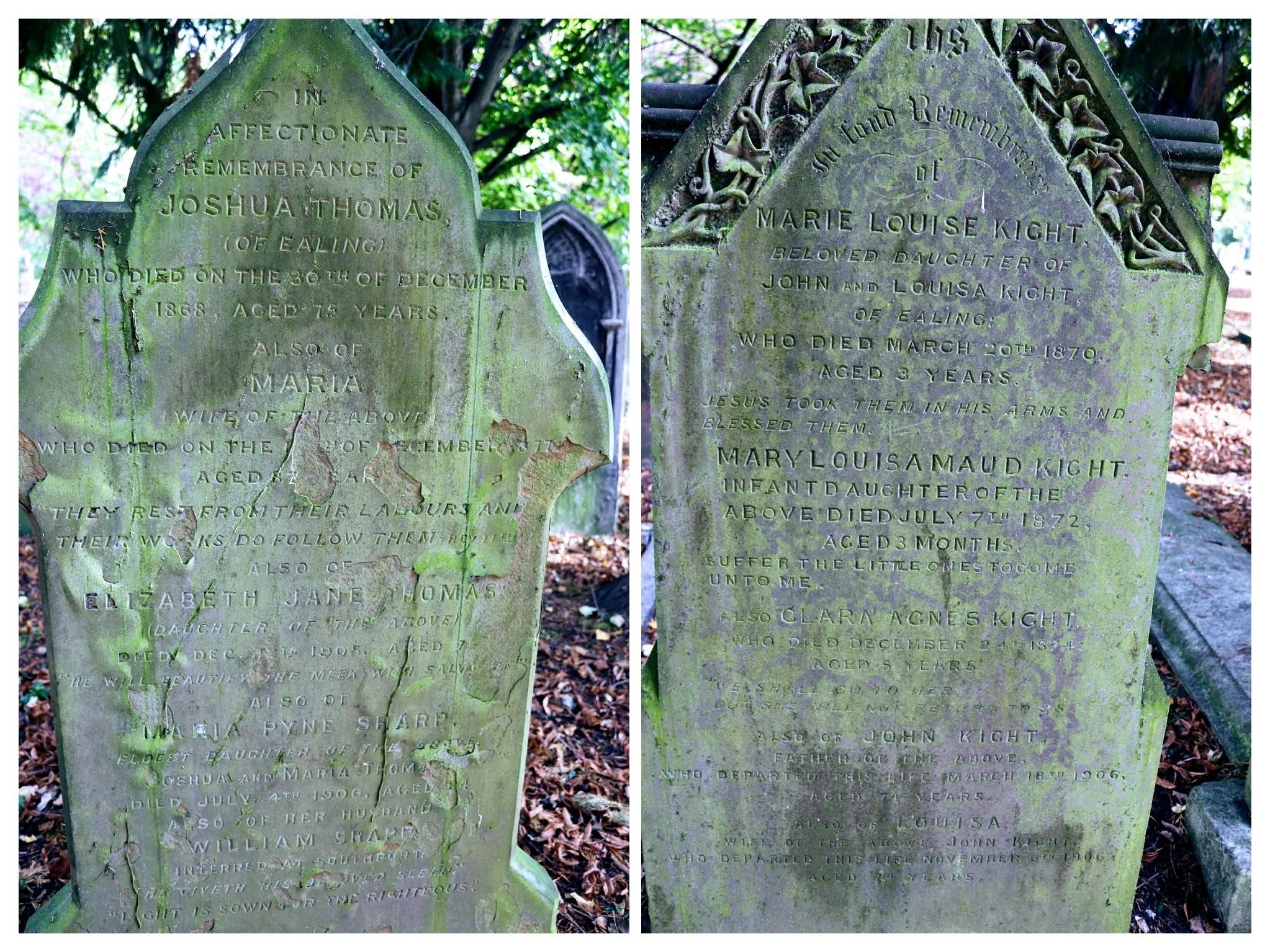 20181023133512_img_3359-collage