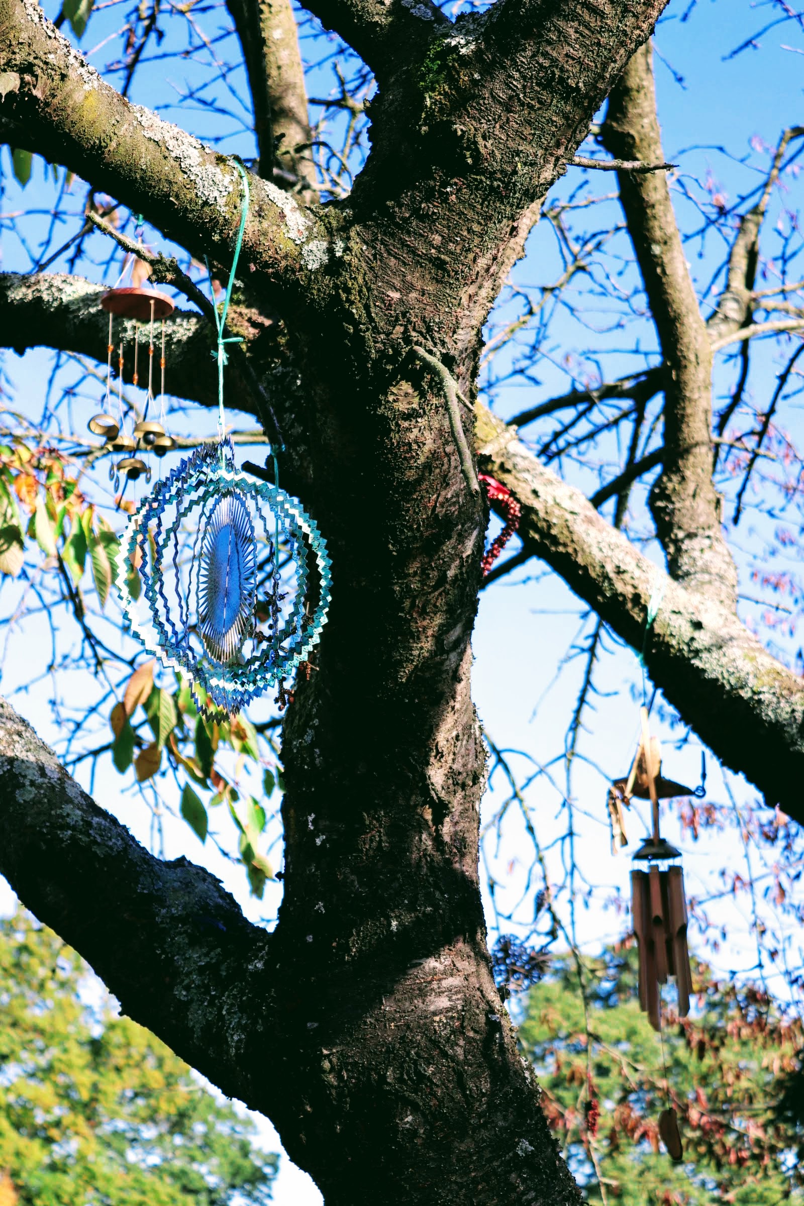 20181102130800_img_3385