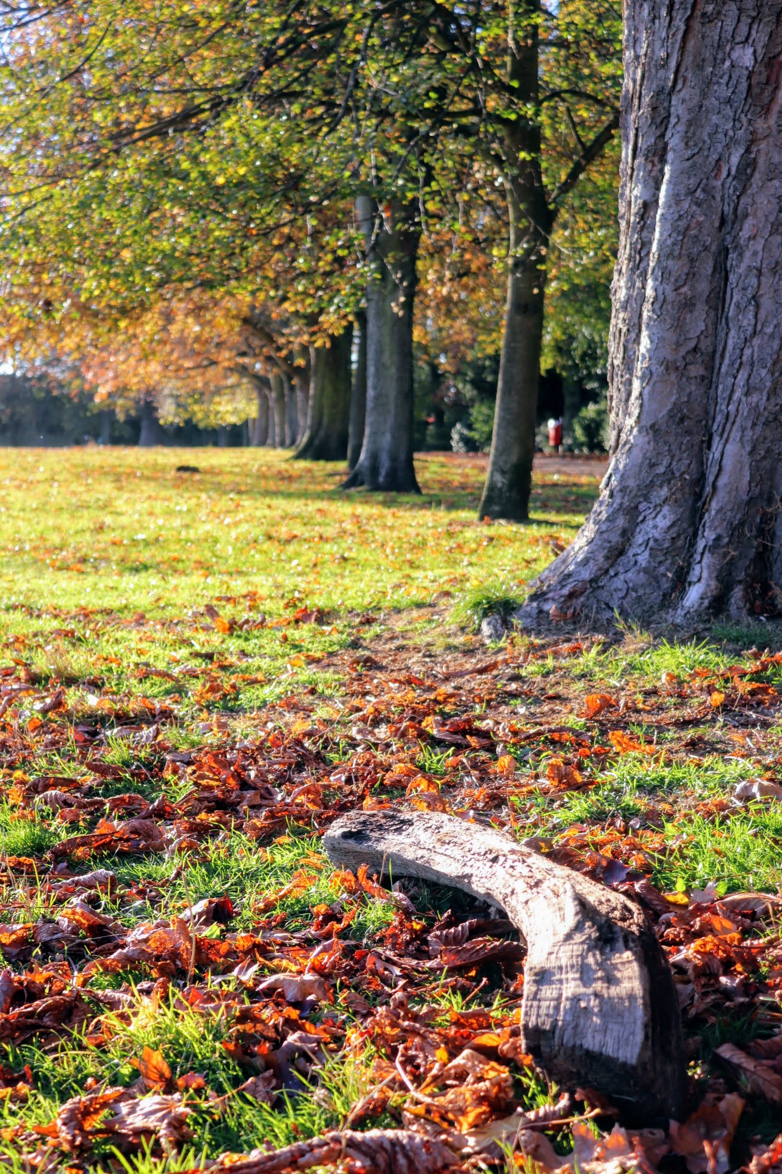 20181102154727_img_3442