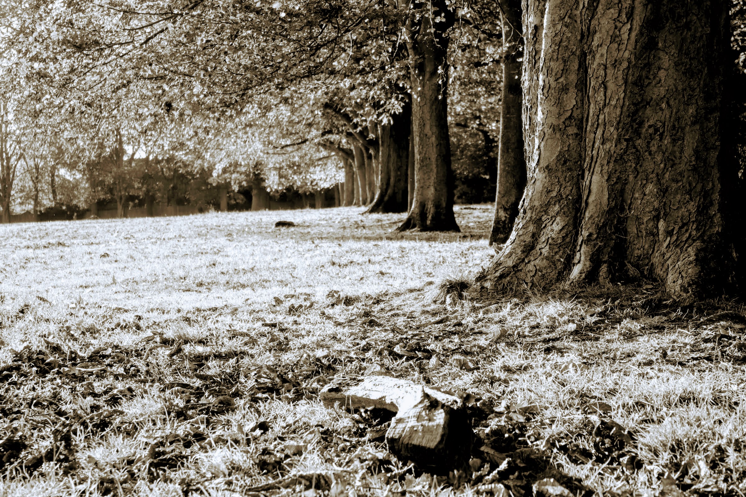 20181102155101_img_3446