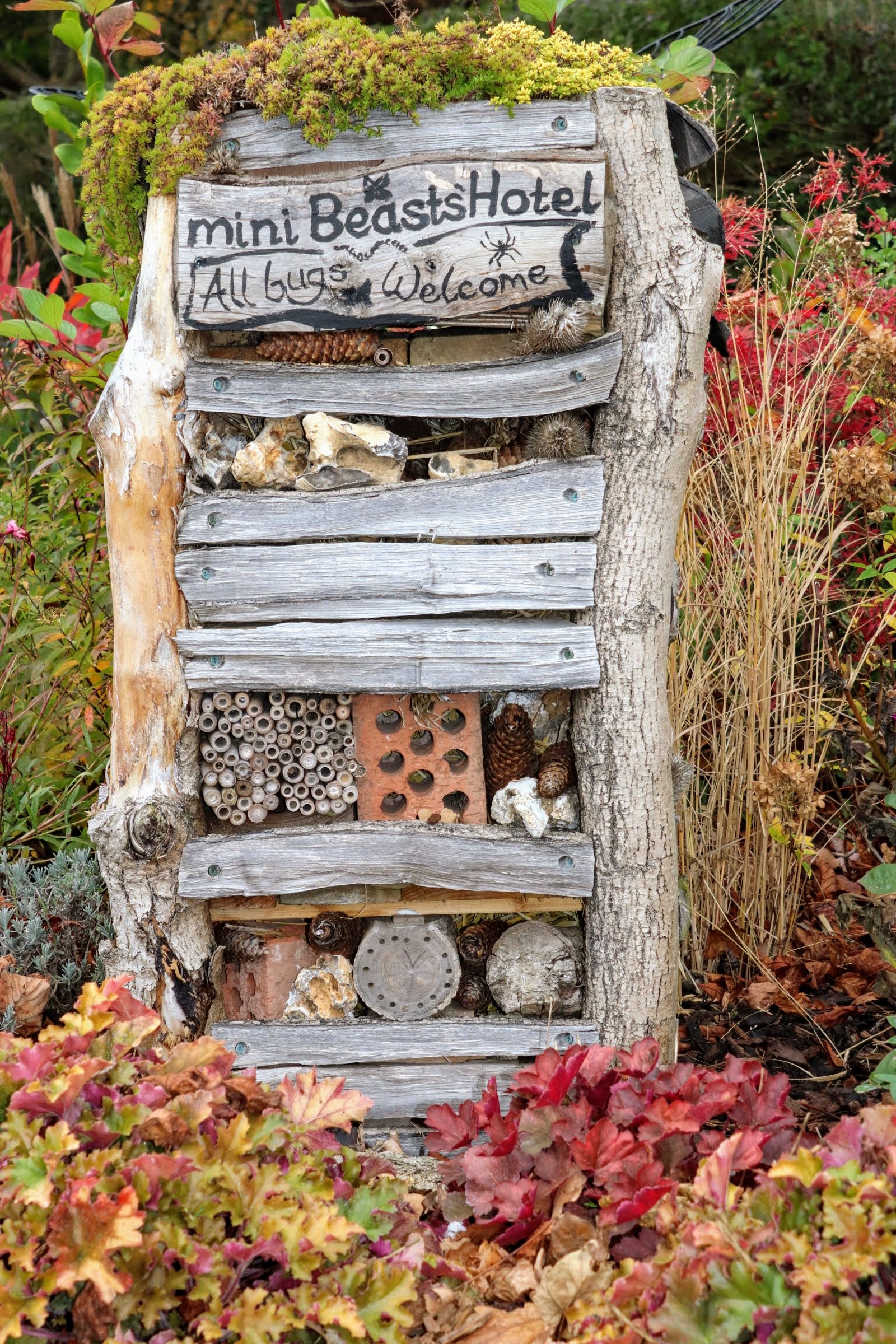 20181109113419_img_3517