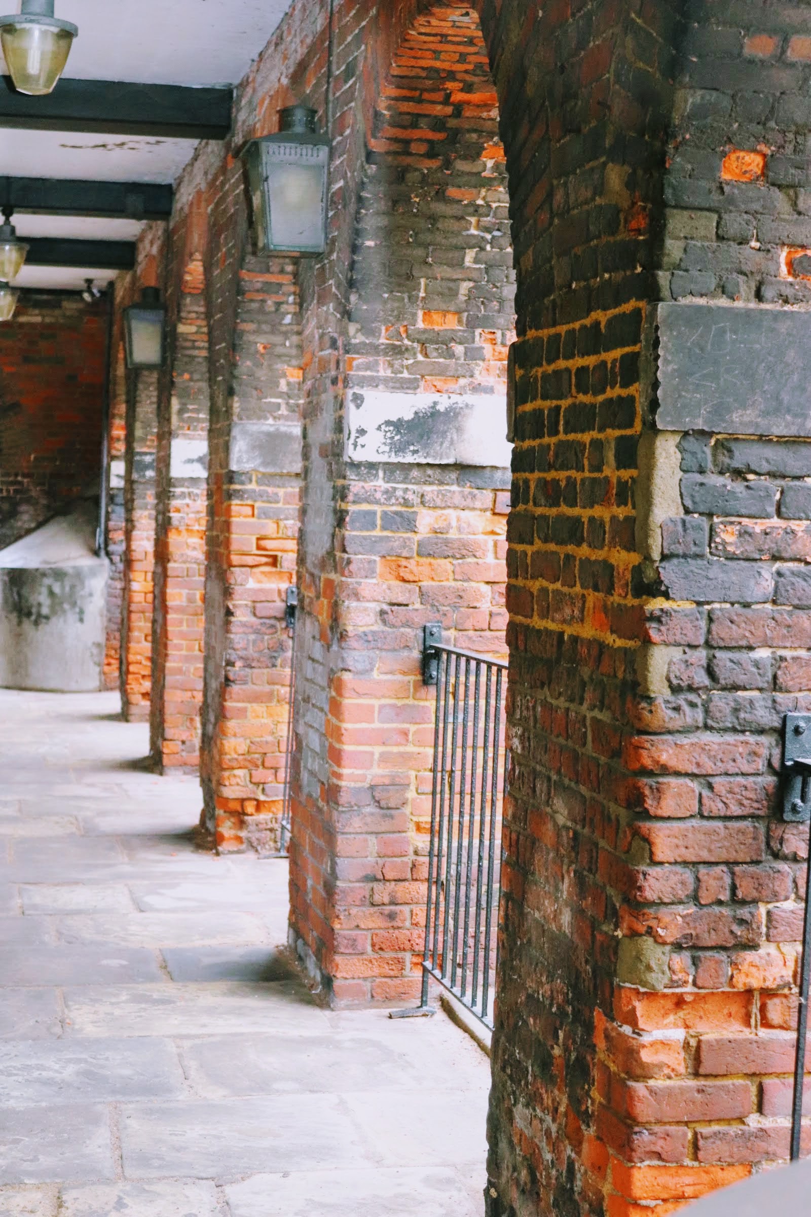 20181109123652_img_3562