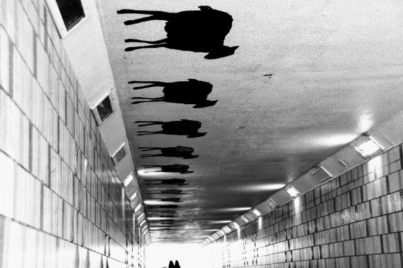 A black and white photo looking through a tiled underpass with a row of black sheep on the ceiling. A couple of pedestrians in the far distant exiting the sunlit tunnel entrance