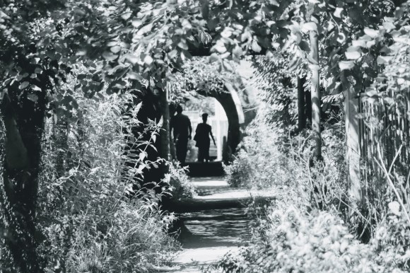 A black and white picture of a couple in the distant walking through and emerging out of a tunnel; their profile in shadow. The picture is framed by overgrown foliage to the footbath which helps to complement the shot