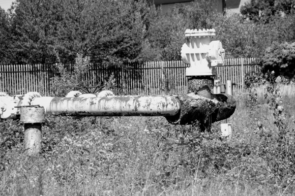 A black and white photo of a capped gas pipe in an overgrowna and somewhat derelict enclosure