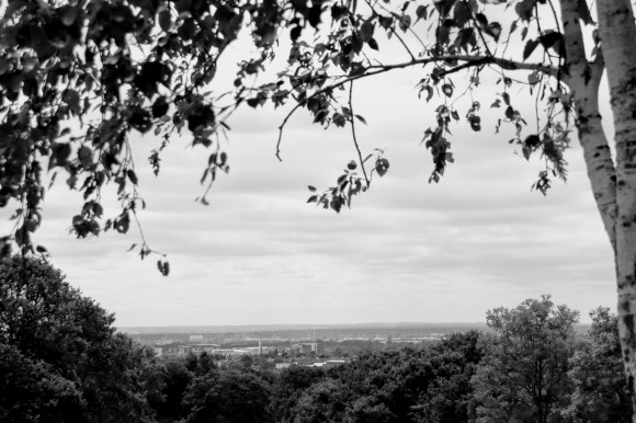 a black and white picture with a treeline in the foreground and an overhanging branch framing a distant view across the Thames to north Kent