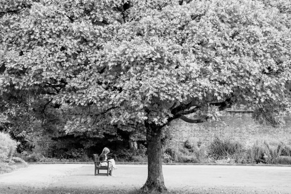 a black and white image of a solitary figure under the canopy of a well established tree in the grounds of Tredegar House