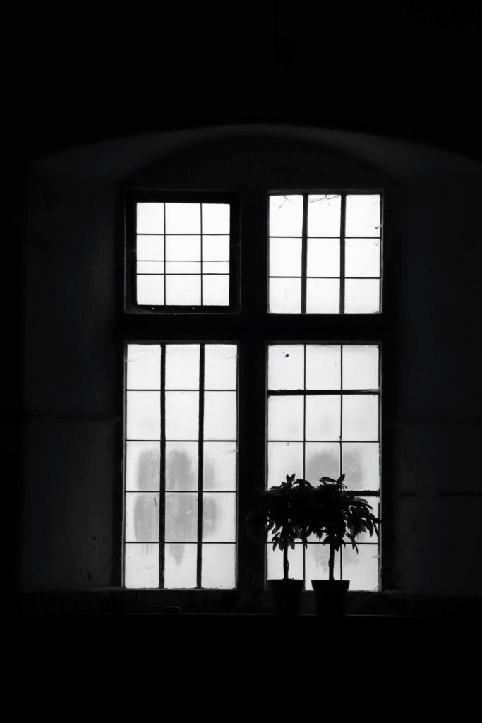 a black and white image of light emerging through four windows at the end of the stables at Tredegar House