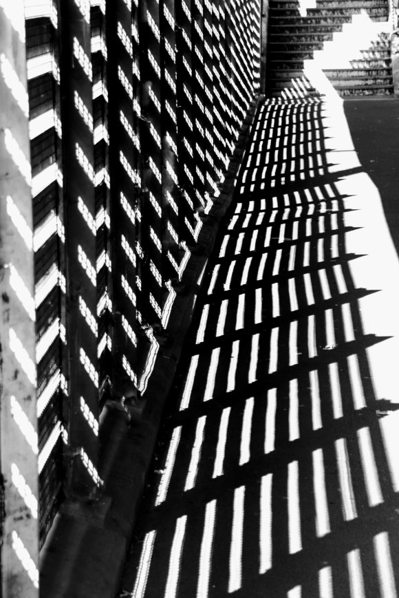 a black and white image capturing the sun shining through a slatted metal fence which casts an intense shadown on the ground