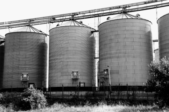 taken in black and white, this is an image of three giant silos, part of a row af many silos on one side of the industrial processing plant