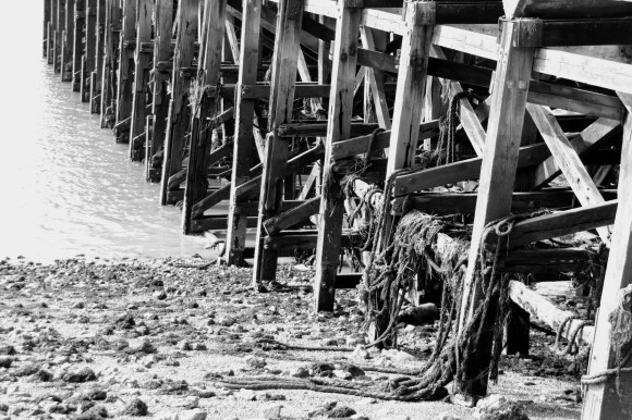 a wooden pier at low tide. taken in black and white to emphasise geometric construction