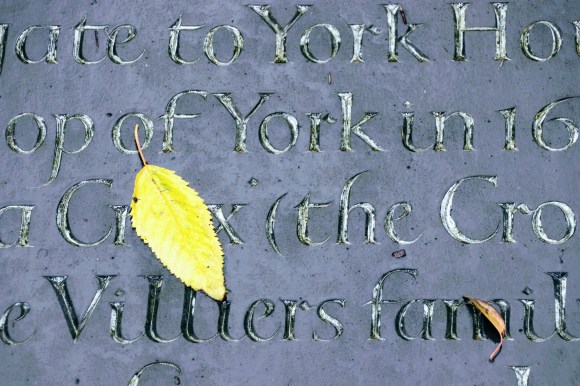 an enhanced colour shot to highlight a laregr yellow leaf and a smaller brown leaf with the engraved gold leaf words of the plaque standing out.  I've deliberatly framed the plaque to pick up the words 'York House' and 'Villiers family'