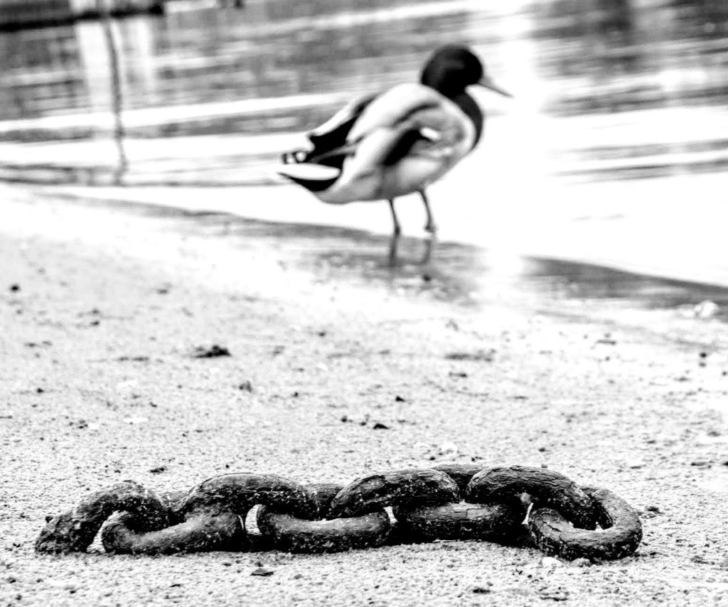 #160: Hampton Court&nbsp;22/02/2023